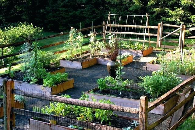 Wooden Raised Boxes Vegetable Garden