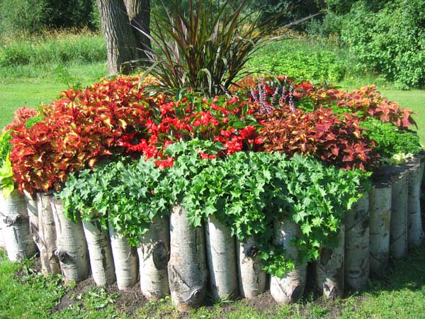 Birch Logs Edging #garden #gardenbed #edging #decorhomeideas