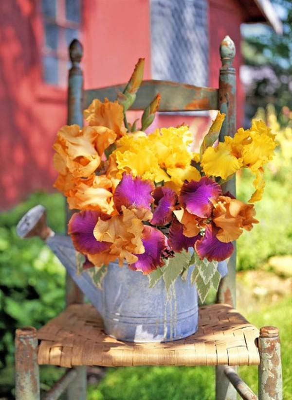 Watering Can Garden Planter #garden #planters #vintage #decorhomeideas