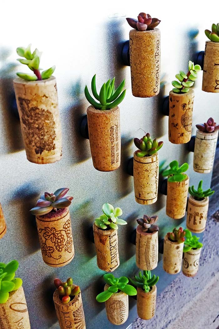 Wine Corks Wall Decor With Succulents #repurpose #reuse #kitchen #utensil #decorhomeideas