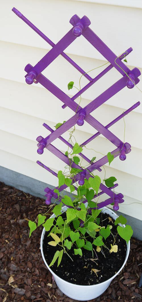 According Peg Rack Trellis