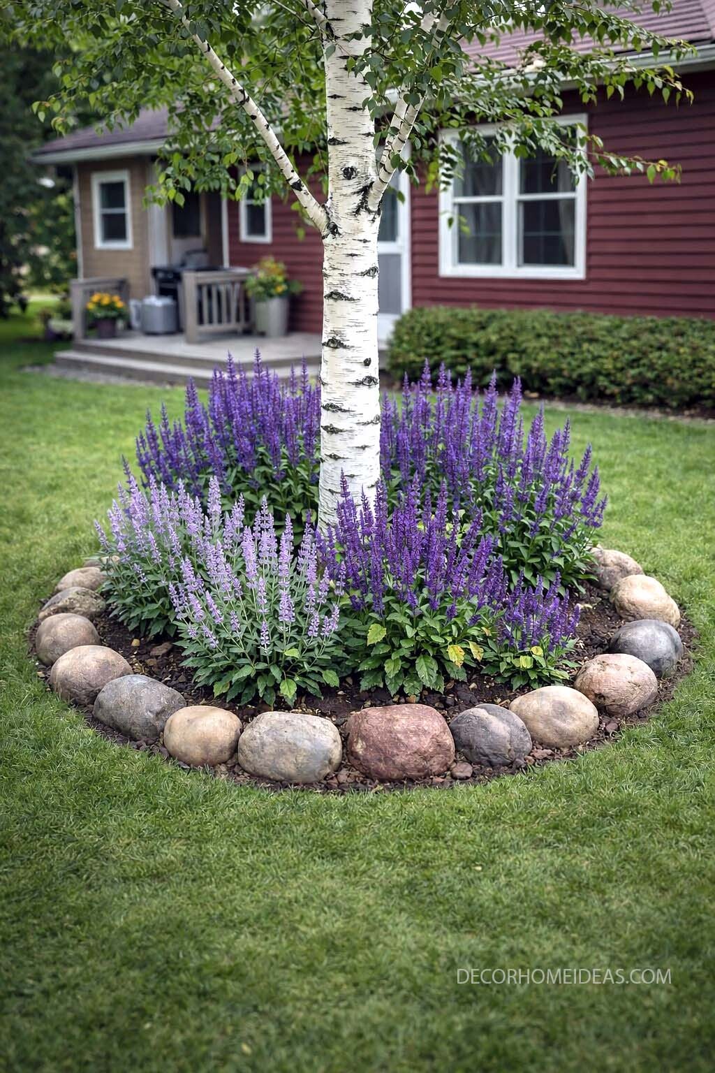 Birch Tree Flower Bed with Stone Border and Purple Blooms