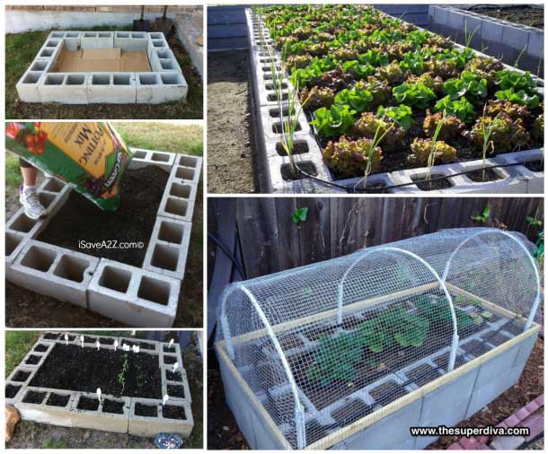 Cinder Block Raised Garden Bed #cinderblock #garden #decorhomeideas