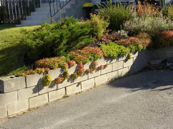 Cinder Block Retaining Wall #cinderblock #garden #decorhomeideas
