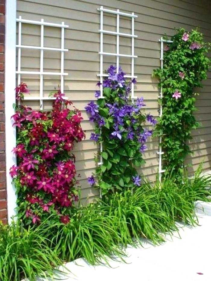 Clematis Trellis #garden #trellis #decorhomeideas