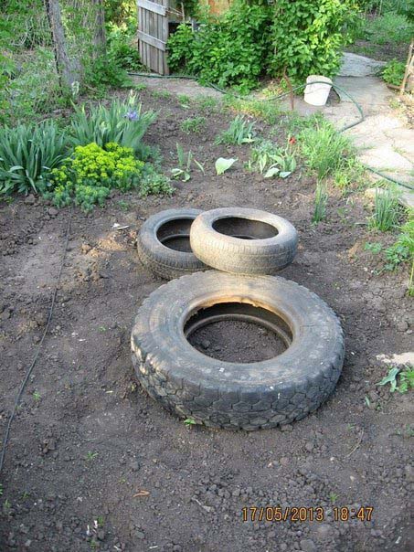 DIY Mini Pond From Old Tire