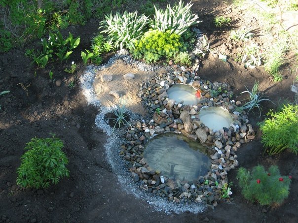 DIY Mini Pond From Old Tire