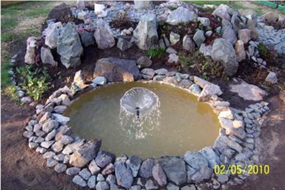 DIY Mini Pond from Old Tire