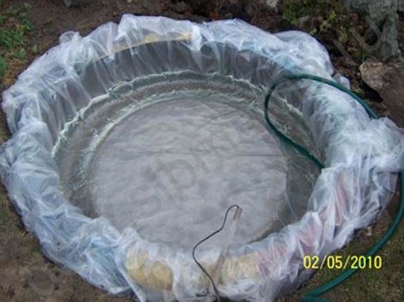 DIY Mini Pond from Old Tire