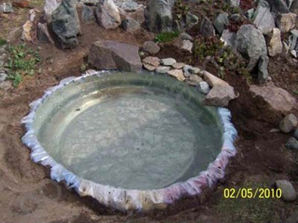 DIY Mini Pond from Old Tire