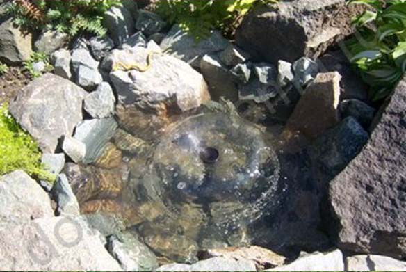 DIY Mini Pond from Old Tire