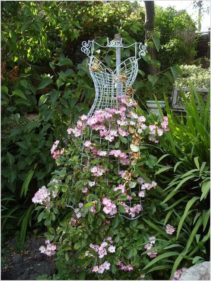 Dress Shaped Trellis