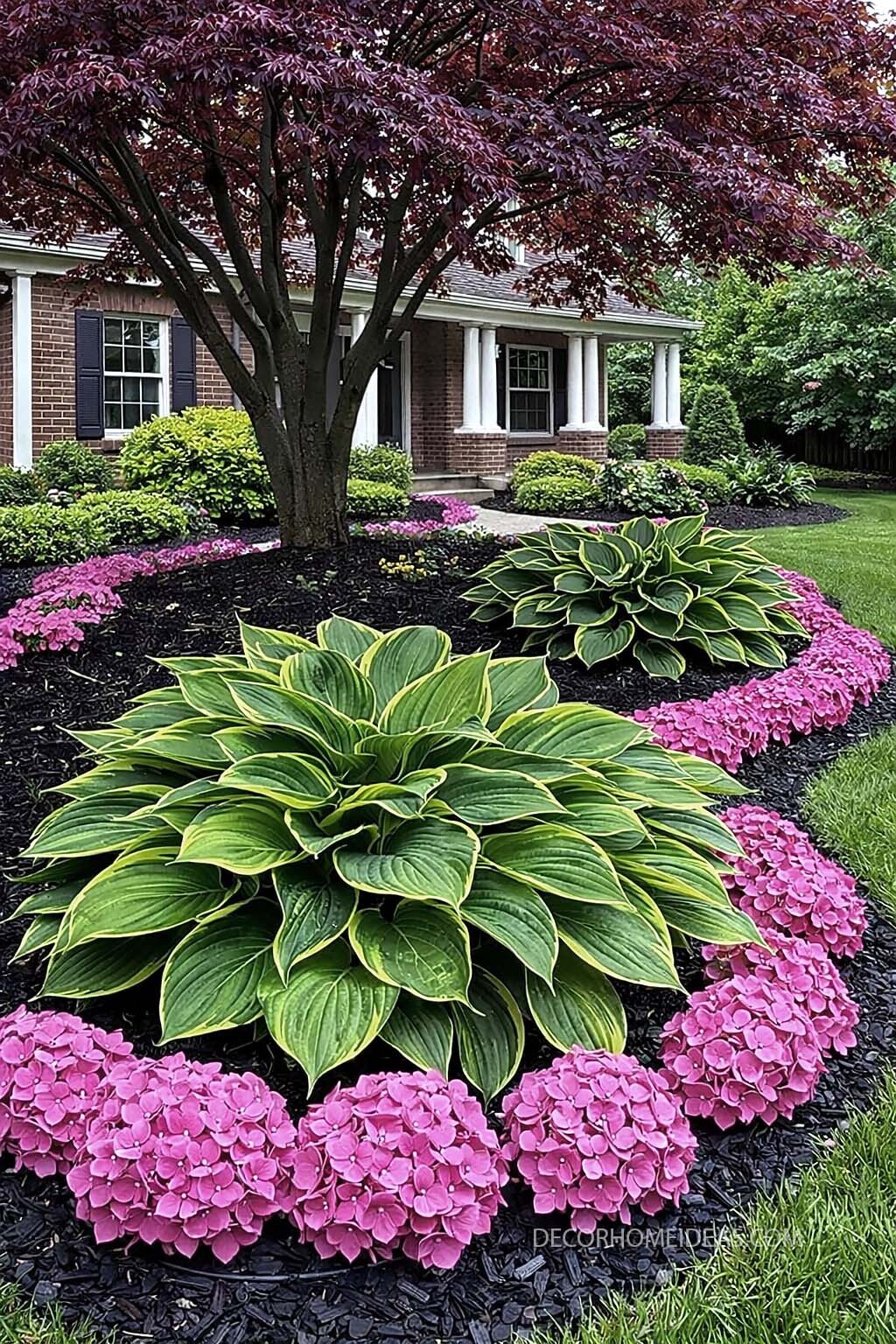Hosta and Hydrangea Flower Bed Under a Shade Tree