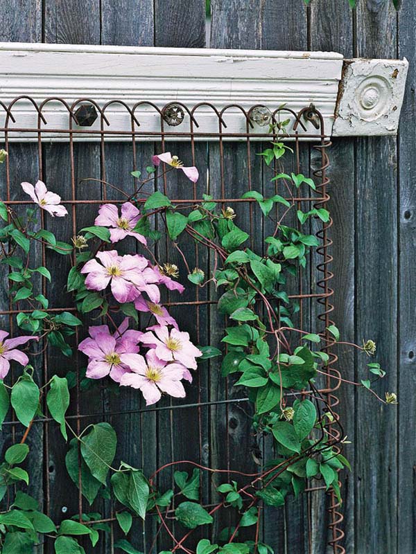 Rustic Looking Garden Trellis