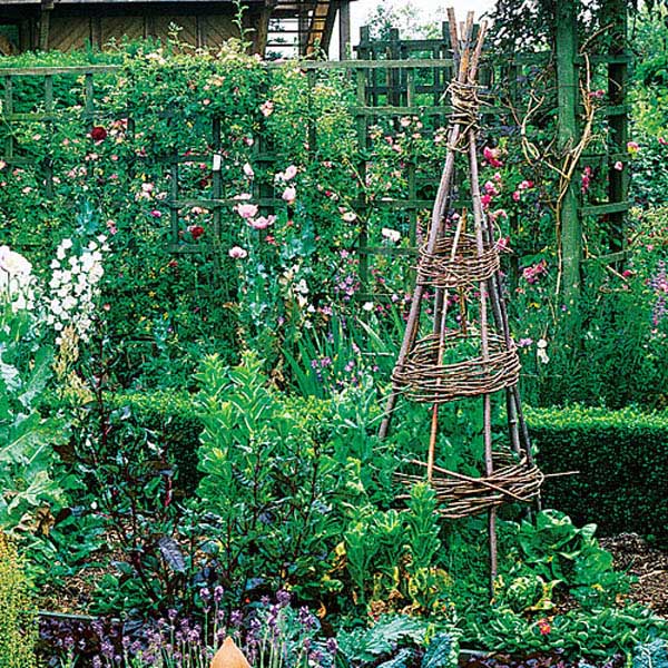 Rustic Tee Pee Garden Trellis