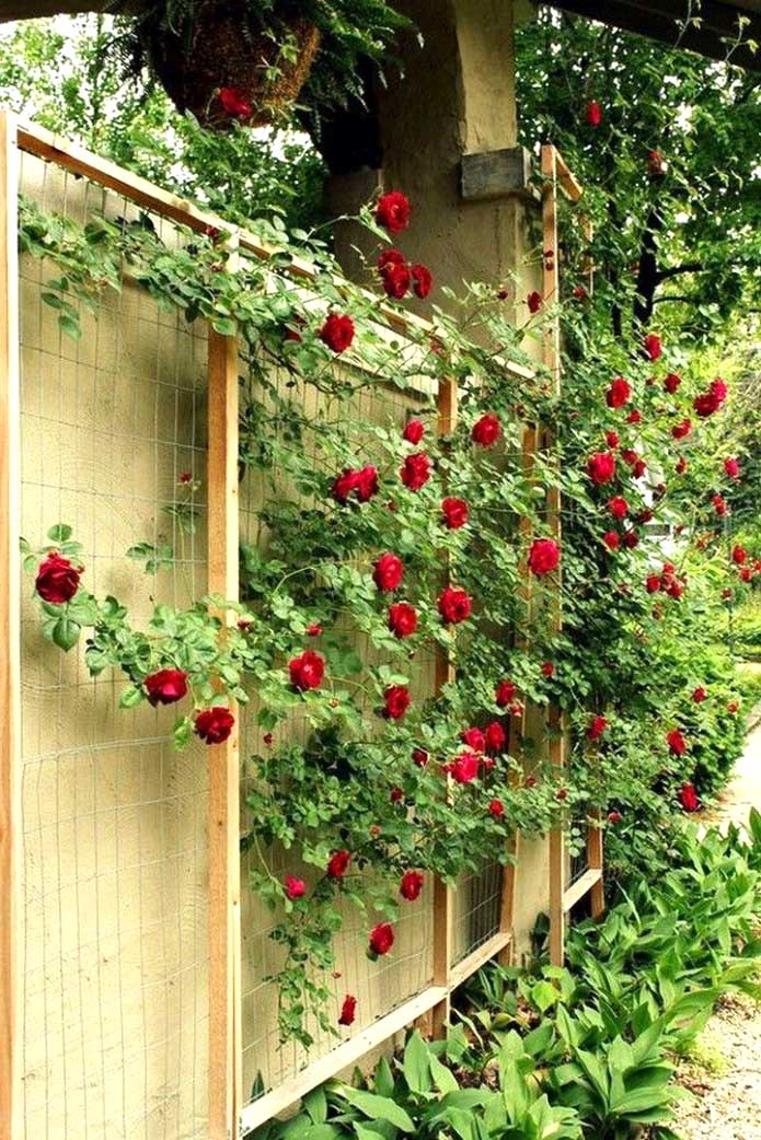 Trellis Ideas Around Fence #garden #trellis #decorhomeideas