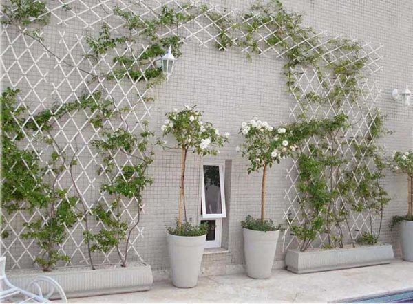 Trellis Ideas In White #garden #trellis #decorhomeideas