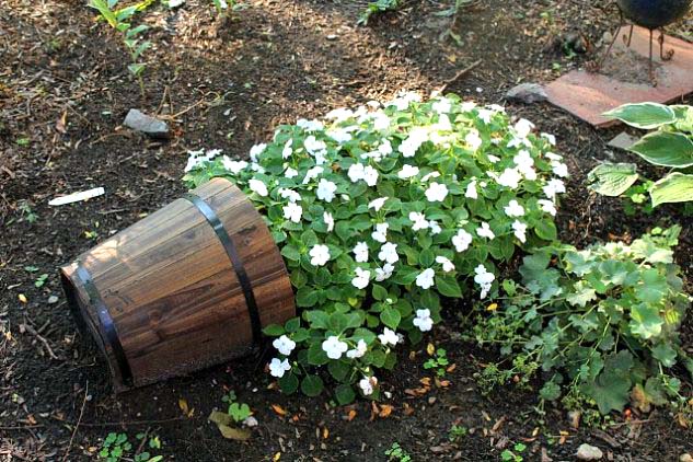 Small White Flowers In Spilled Flower Pot #garden #decorhomeideas