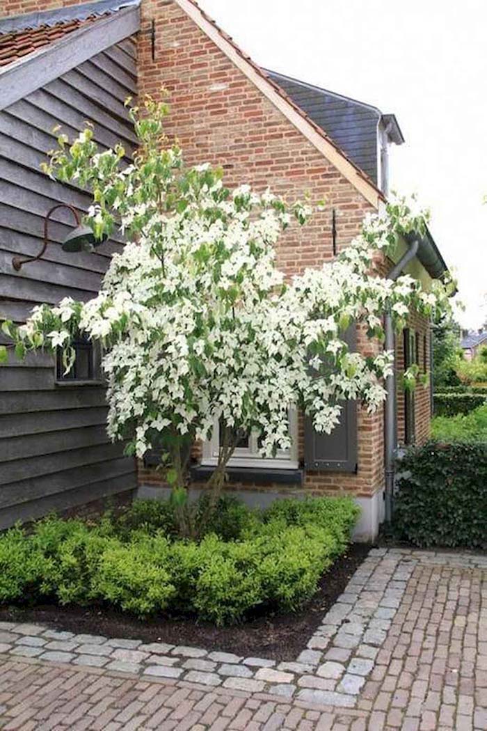 Corner Garden With Tree #garden #corner #decorhomeideas