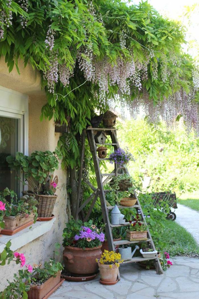 Garden Corner Ladder #garden #corner #decorhomeideas