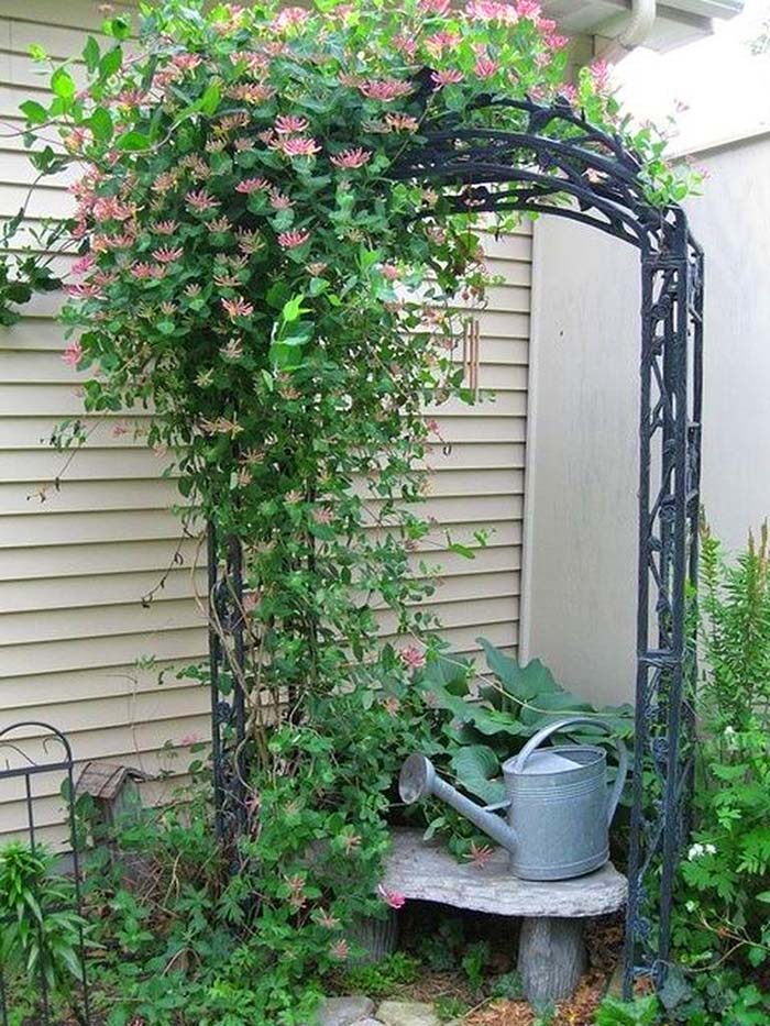 Garden Corner With Trellis #garden #corner #decorhomeideas