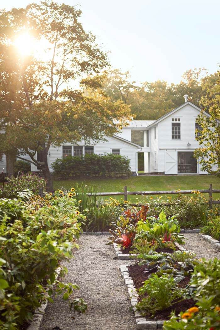 Backyard Vegetable Garden #garden #landscaping #decorhomeideas