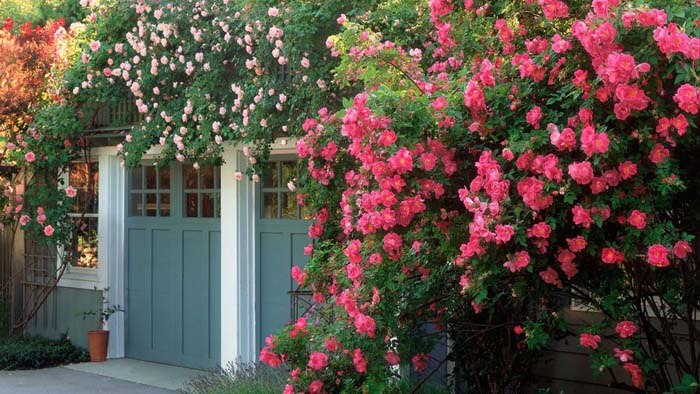 Doors With Flowers #garden #landscaping #decorhomeideas
