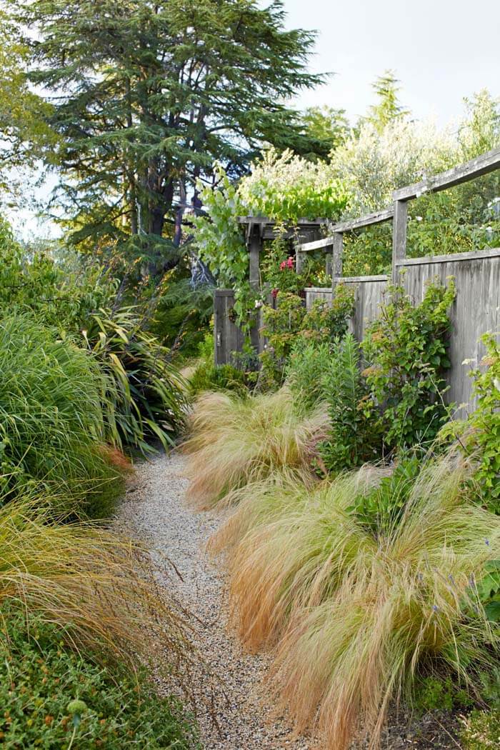 Drought Tolerant Plants Garden #garden #landscaping #decorhomeideas