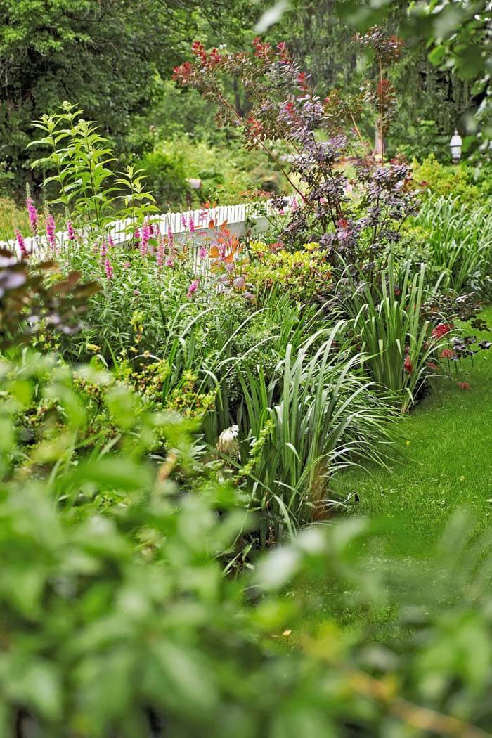 Flowers and Plants By The Fence #garden #landscaping #decorhomeideas