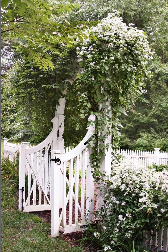 Garden Fence With White Flowers #garden #landscaping #decorhomeideas