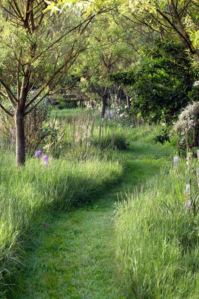 Garden Pathway Made Out Of Grass Only #garden #landscaping #decorhomeideas