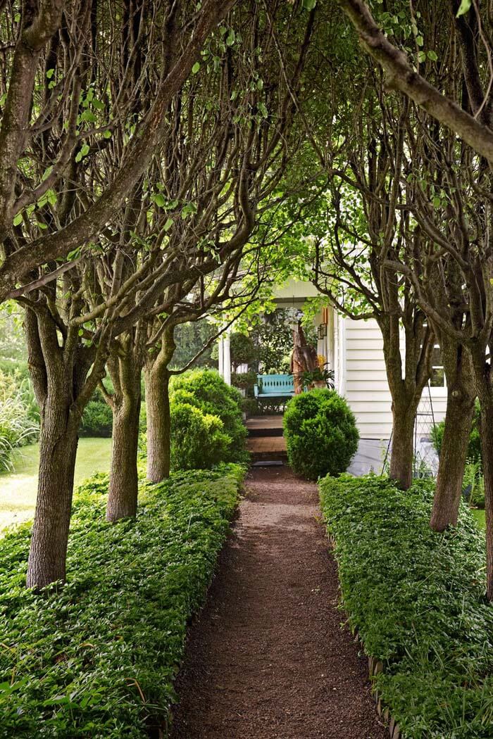 Garden Pathway With Trees #garden #landscaping #decorhomeideas