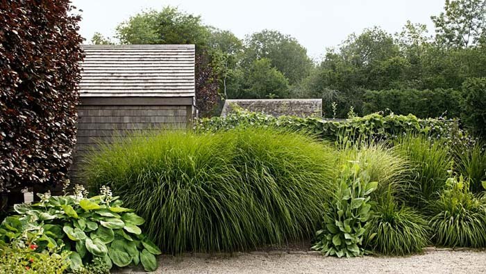 High Grass Garden Landscaping #garden #landscaping #decorhomeideas