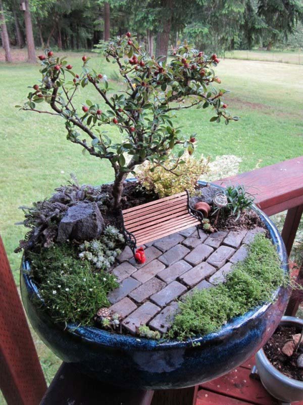 Bonsai Tree Mini Garden #fairygarden #diy #decorhomeideas