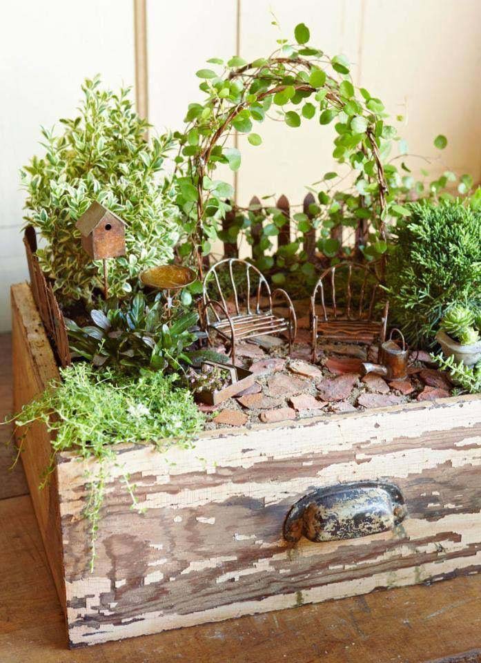 Container Fairy Garden #fairygarden #diy #decorhomeideas