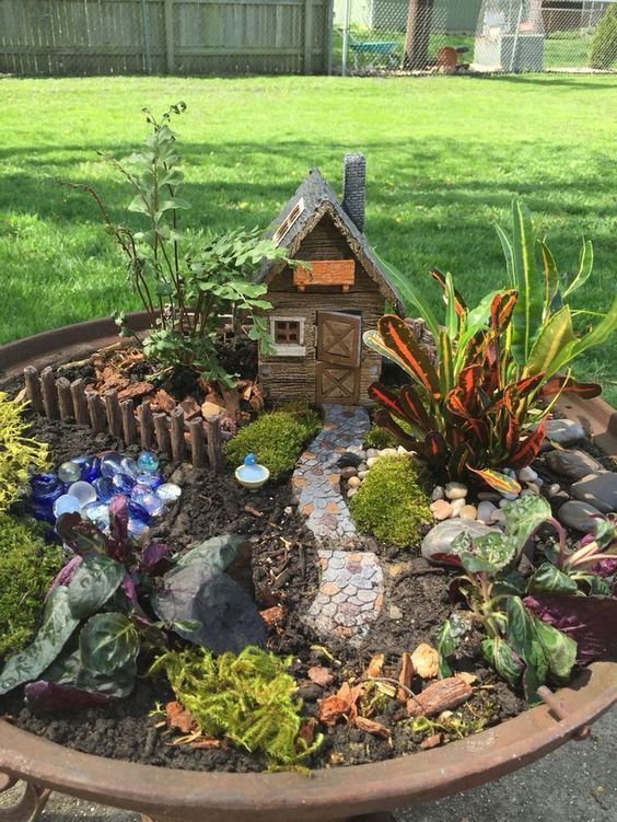 Cute Fairy Garden #fairygarden #diy #decorhomeideas