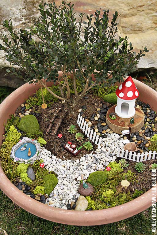 How To Bonsai Fairy Garden #fairygarden #diy #decorhomeideas