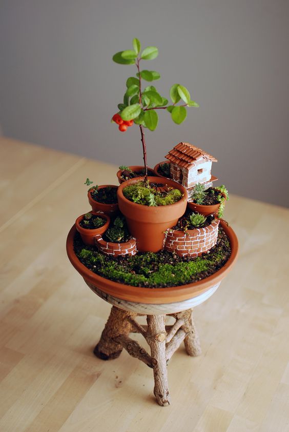 Mini Garden In a Mini Pot #fairygarden #diy #decorhomeideas