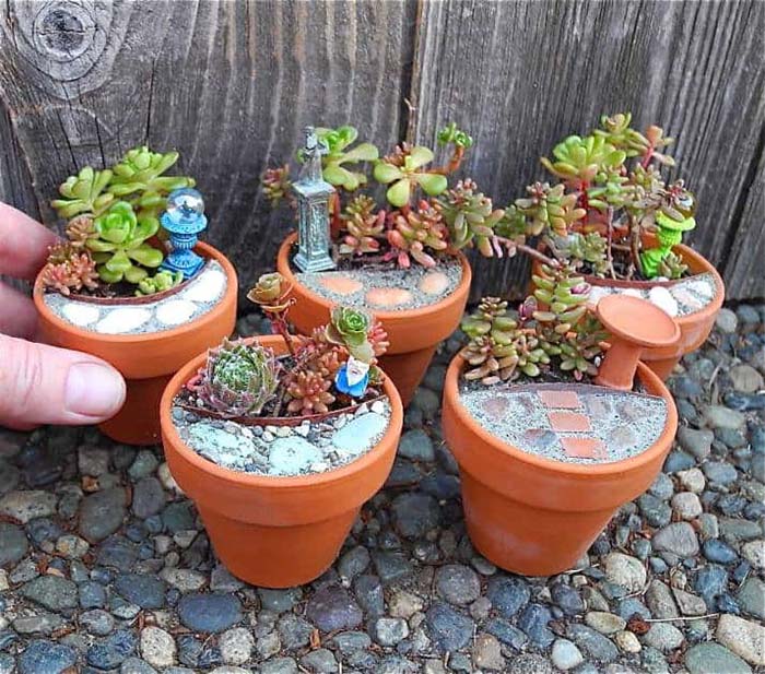 Mini Succulent Garden #fairygarden #diy #decorhomeideas