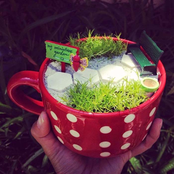 Miniature Garden In a Cup #fairygarden #diy #decorhomeideas