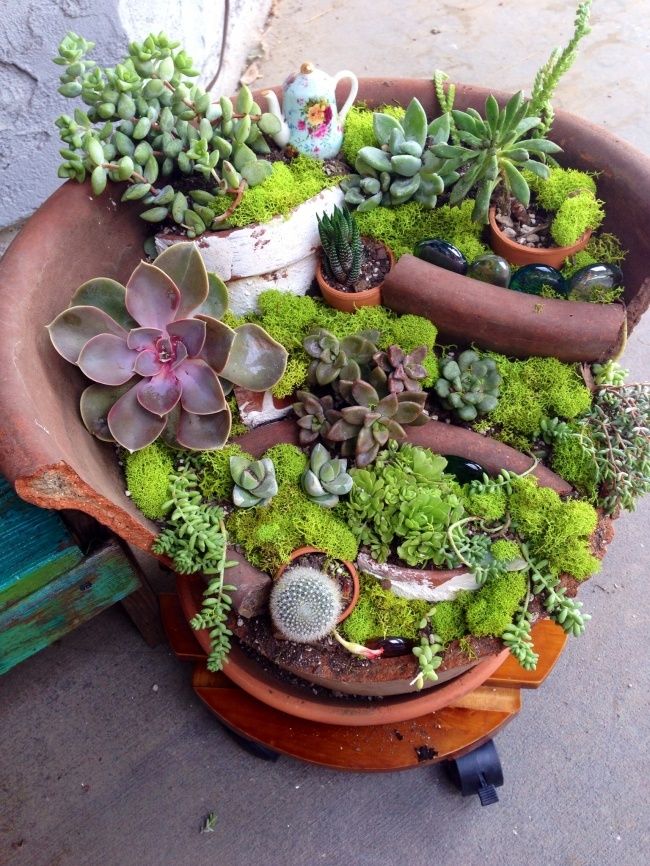 Succulents Fairy Garden #fairygarden #diy #decorhomeideas