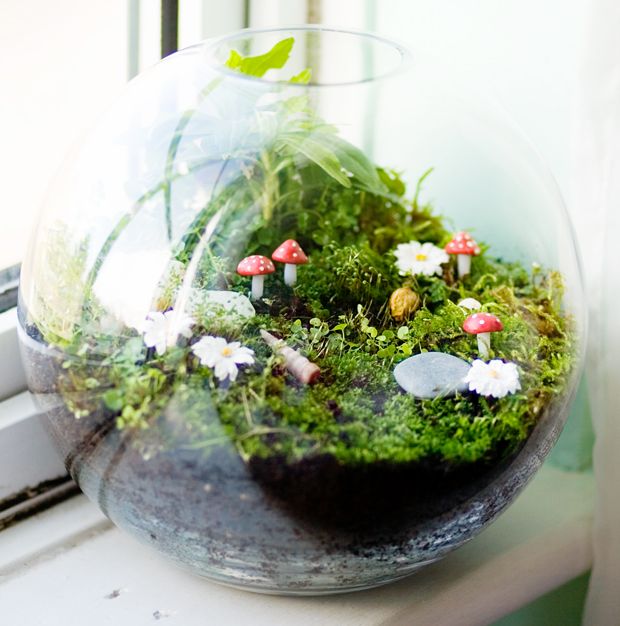 Terrarium Fairy Garden #fairygarden #diy #decorhomeideas