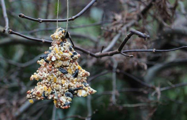 Bird Seed Ornaments #Christmas #natural #decoration #decorhomeideas