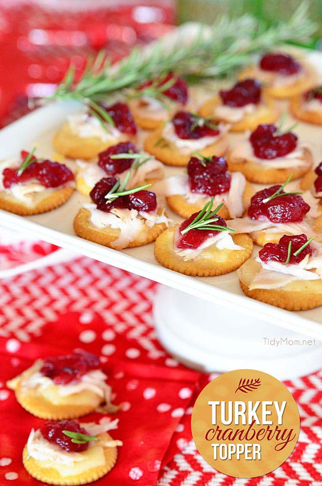 Turkey Cranberry Topper