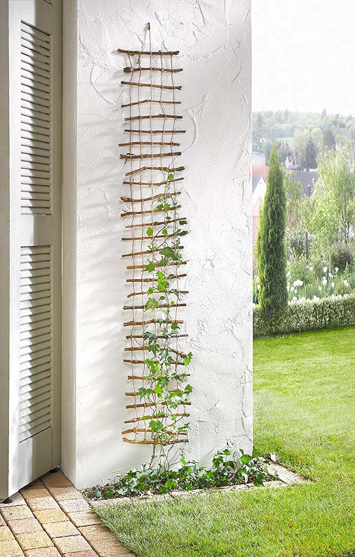 Easy Wall Lattice Trellis