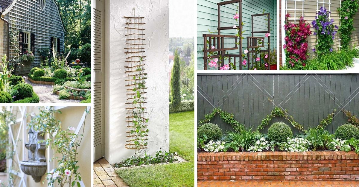 DIY Garden Trellis Ideas
