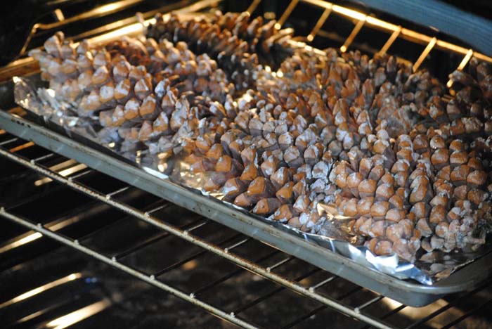 Pine Cones Oven #Christmas #decor #hacks #diy #decorhomeideas