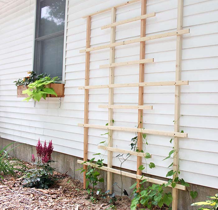 Simple DIY Trellis Idea #garden #trellis #diy #decorhomeideas