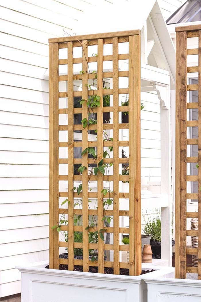 Vertical Garden Trellis Idea #garden #trellis #diy #decorhomeideas