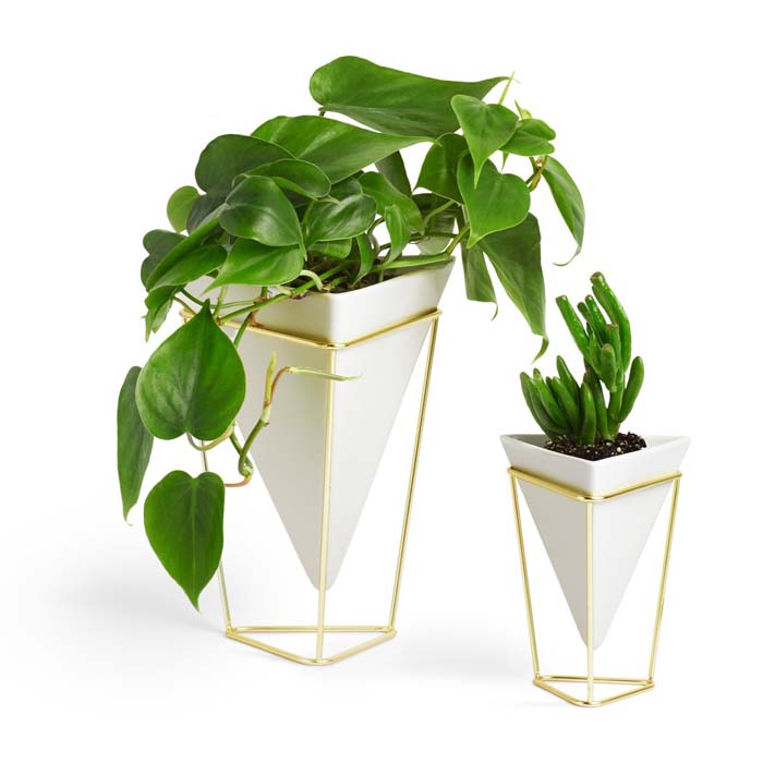 Desktop Planter Vase #valentine #gifts #girl #woman #decorhomeideas